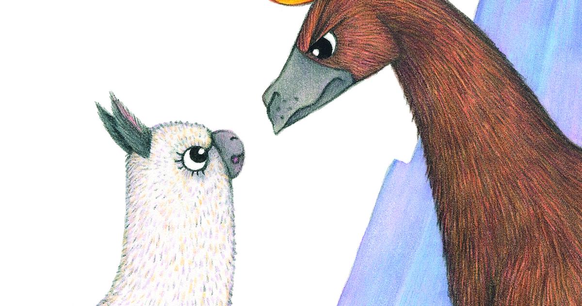 Macca the Alpaca | Imagine the Wonder of Picture Books | State